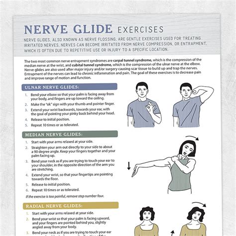 Nerve Glide Exercises Adult And Pediatric Printable Resources For