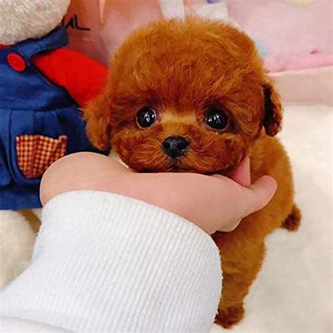 Realistic Teddy Dog Toys For Kids