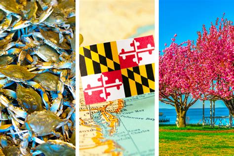 51 Fun Facts About Maryland That Most People Dont Know