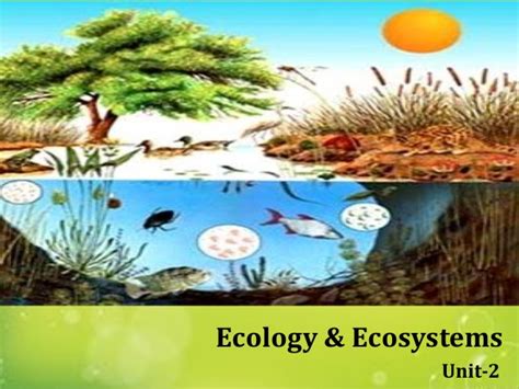 Check spelling or type a new query. Ecology & Ecosystems