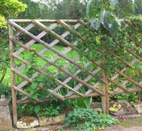 Rustic Trellis Panels Hartwells Fencing Rustic Trellis Rustic