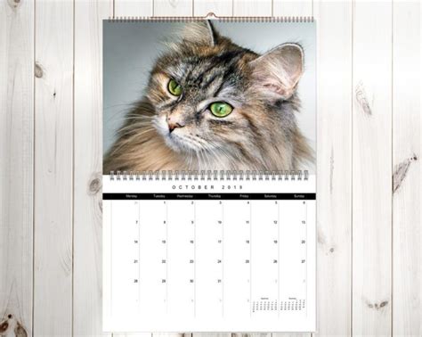 Siberian Cat Calendar 2019 Siberian Cat World