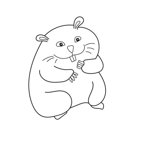 Desenhos De Hamster Para Colorir Imprimir E Pintar Colorir Me