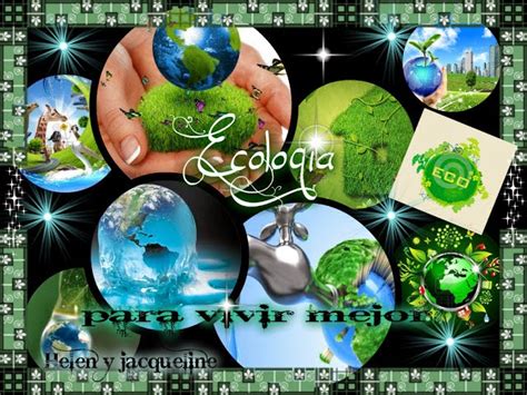 Mundo Ecológico ¿quÉ Es La EcologÍa