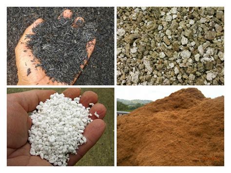 Nilai derajat ph tanah banyak mempengaruhi kualitas pertumbuhan tanaman. 7 Sifat Media Tanaman Yang Baik Untuk Pokok Tin - Tin Oh Tin