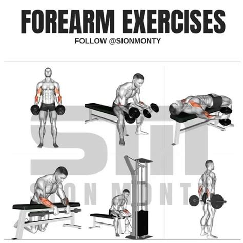 One Of My Most Popular Workout Requests Is For Forearms This Is Down