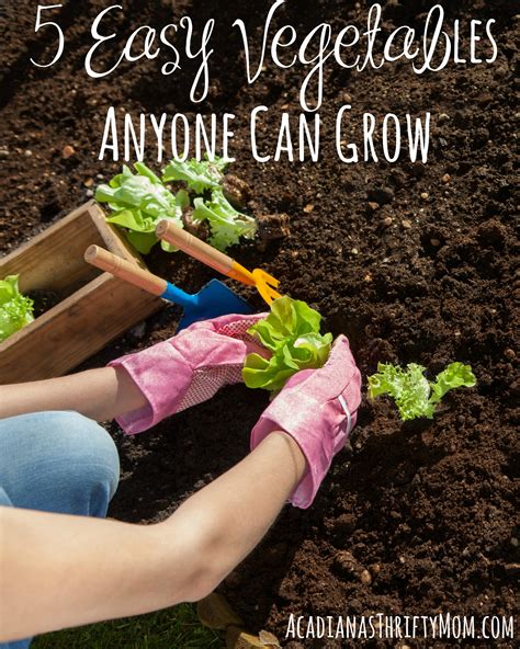 5 Easy Vegetables Anyone Can Grow Acadianas Thrifty Mom