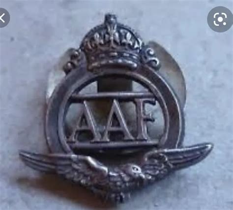 WW2 ROYAL AUXILIARY Air Force AAF RAF RAAF Lapel Badge Genuine 37 83