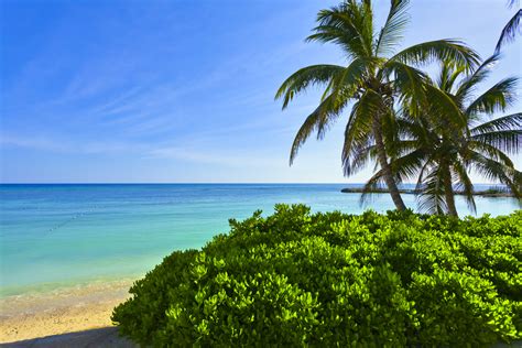 ジャマイカのおすすめ観光スポット旅行情報一覧の情報が満載TABIPPO NET タビッポ