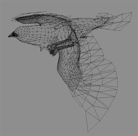 Jasper Cousins Detailed Bird Model