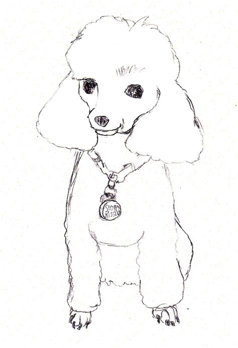 Some poodle coloring may be available for free. Coloring Pages Of Poodles - Coloring Home
