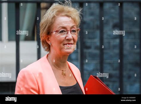 Energy And Industrial Strategy Secretary Andrea Leadsom Leaving Downing