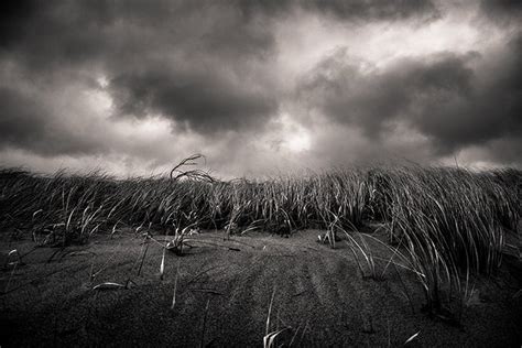 8 Moody Landscape Photography Tips For Shooting Dark Photos