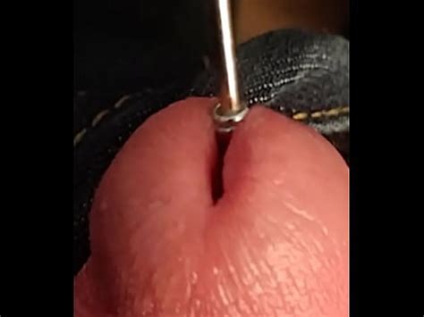 Small Antenna In My Penis Xvideos Com