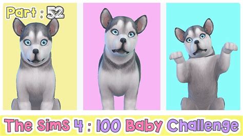The Sims 4 100 Baby Challenge 👶🏼 52 Husky ♥ Youtube