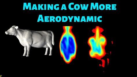 Aerodynamics Challenge Can You Make A Cow More Aerodynamic Youtube
