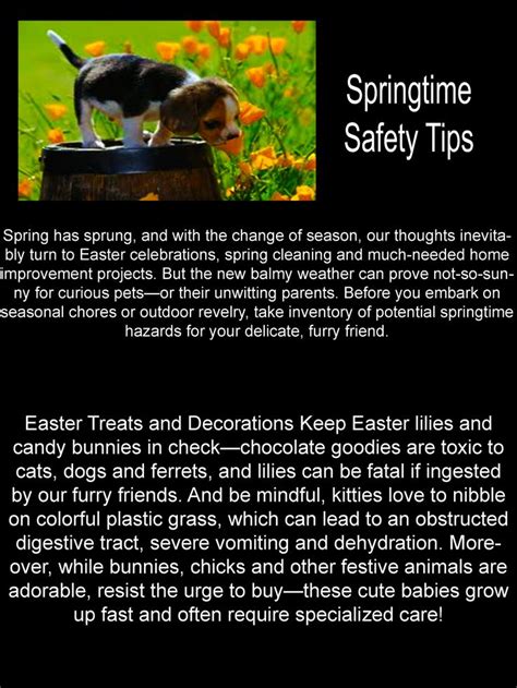 Springtime Safety Tips Safety Tips Changing Seasons Tips