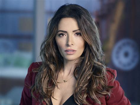 Sarah Shahi Person Of Interest City On A Hill Has Been Cast As The