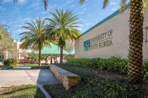 University Of South Florida Unimates Education