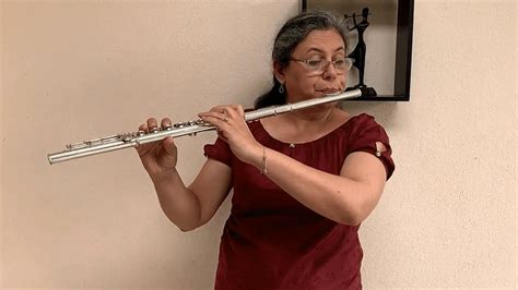 Aprende Las Partes De La Flauta Travesera Musisol Blog