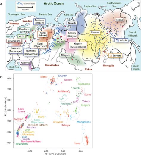 Geographic And Genetic Affinities Of European And Siberian Populations