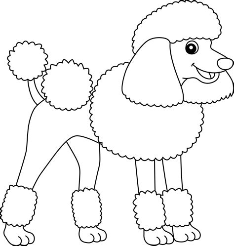 Poodle Dog Isolated Coloring Page For Kids 8944219 Vector Art At Vecteezy