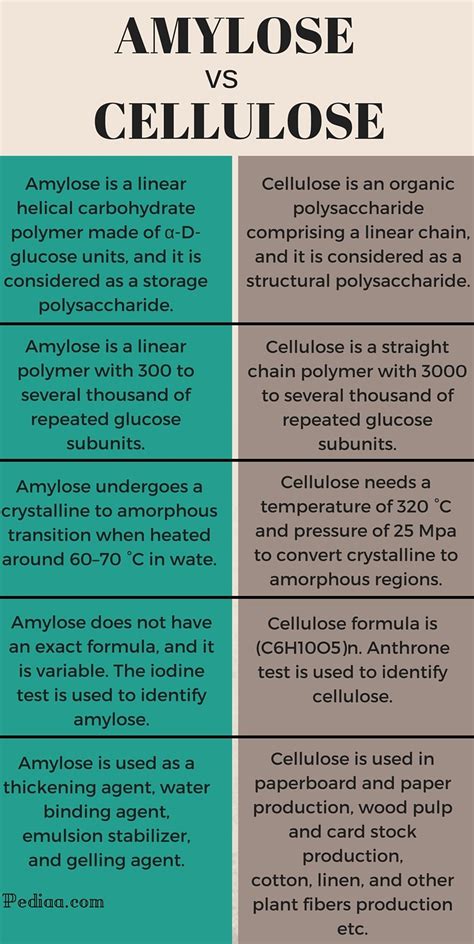 Difference Between Amylose And Cellulose