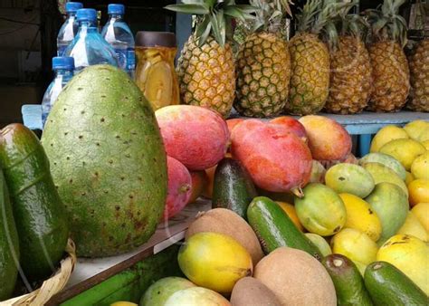 Oferta Variada De Frutas Tropicales En Nicaragua