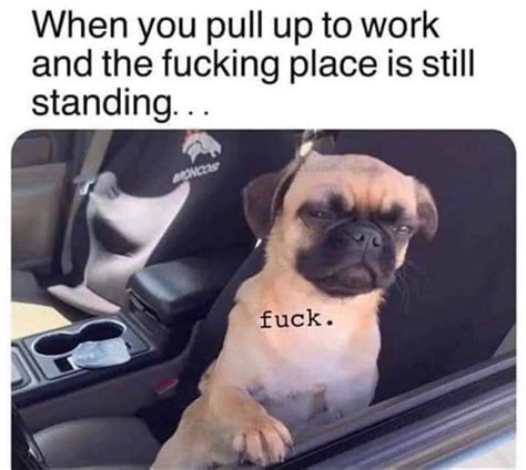 10 Work Memes You Probably Shouldnt View At Work