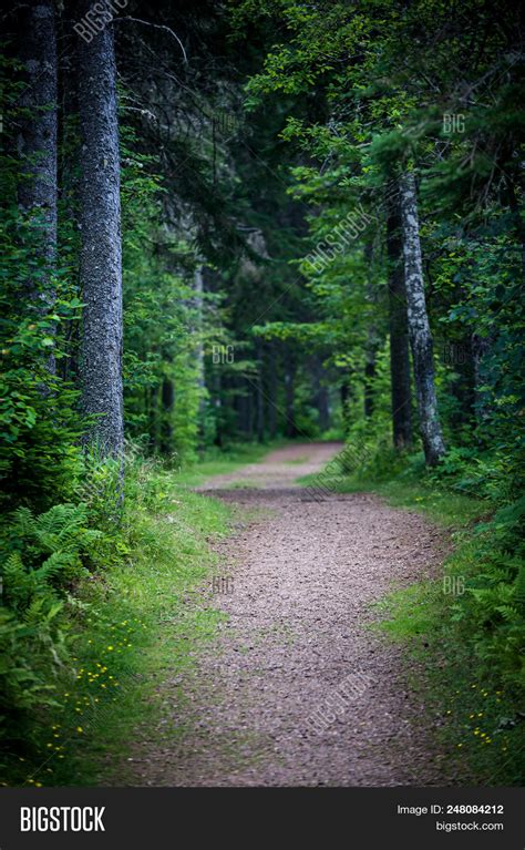 Path Winding Through Image And Photo Free Trial Bigstock