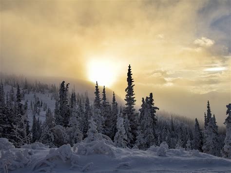 10 Day Winter In Yukons Kluane National Park 10adventures