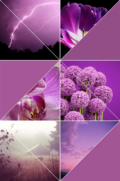 Color Your Life Striking Purple Обои для Iphone Обои Наклейки