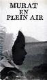 Jean-Louis Murat - Murat En Plein Air (1993, VHS) | Discogs