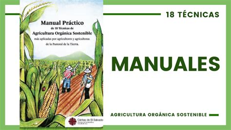 Manual Pr Ctico De T Cnicas De Agricultura Org Nica Y Sostenible M S Aplicadas Por