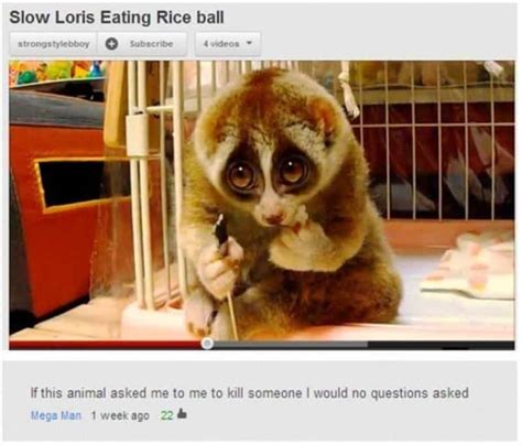 10 Of The Funniest Youtube Comments Ever