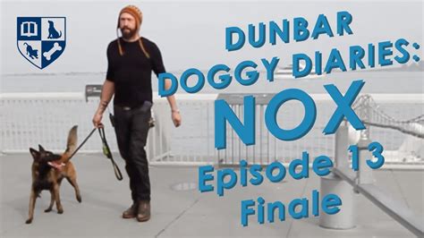Dunbar Dog Diaries 13 Nox Finds A Home Youtube