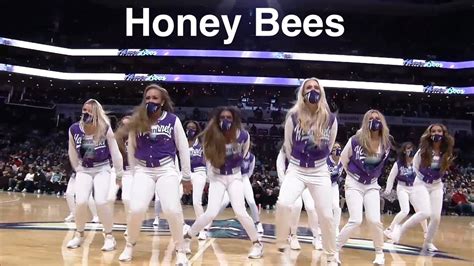 Honey Bees Charlotte Hornets Dancers Nba Dancers 122022 Dance Performance Youtube