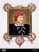 Thomas Boleyn, Conde de Wiltshire, estilo Tudor Inglés diplomático y ...