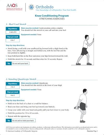 Knee Rehabilitation Exercises Orthoinfo Aaos