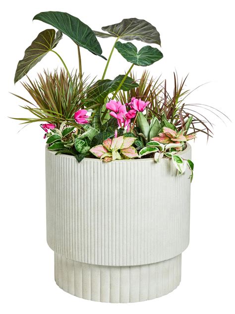 Easy Container Garden Ideas To Try Hgtv