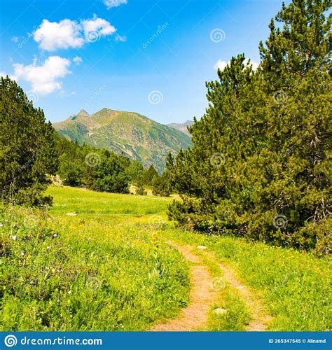 A Picturesque Mountain Landscape With A Green Meadow Pine Trees And A