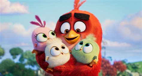 Netflix Ordena Serie Animada De Angry Birds Spoiler Time
