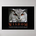 Wisdom Motivational Parody Poster | Zazzle