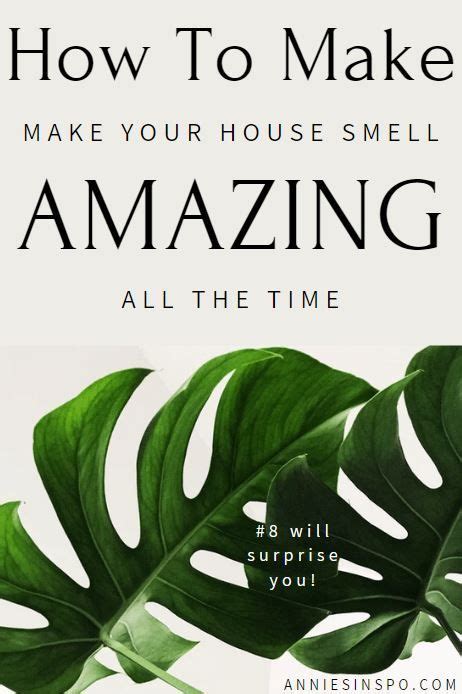 How To Make Your House Smell Amazing All The Time House Smell Good