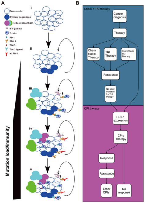 Liquid Biopsy For Lung Cancer Immunotherapy Review