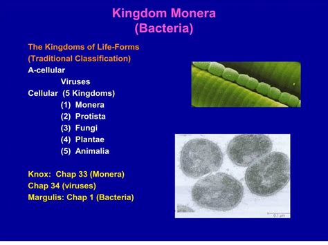 Ppt Kingdom Monera Bacteria Powerpoint Presentation Free Download