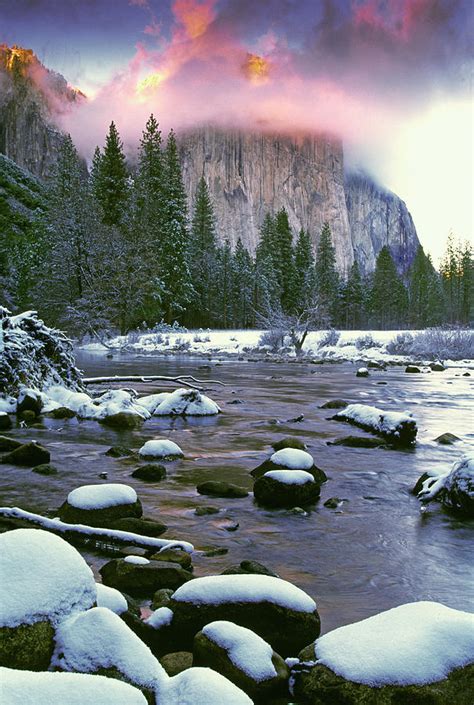 Usa California Yosemite National Park Photograph By