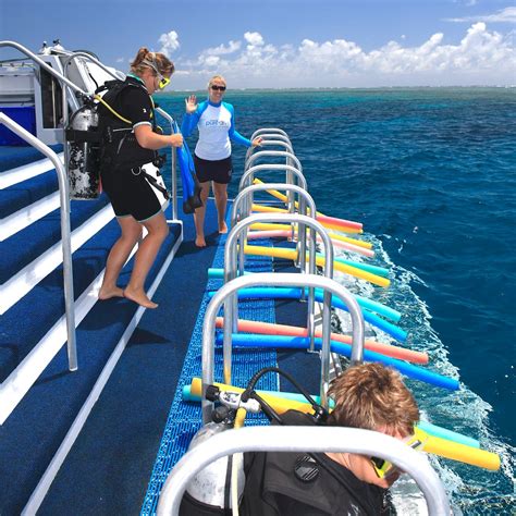 Port Douglas Snorkel And Dive Trip Great Barrier Reef Luxury Tour