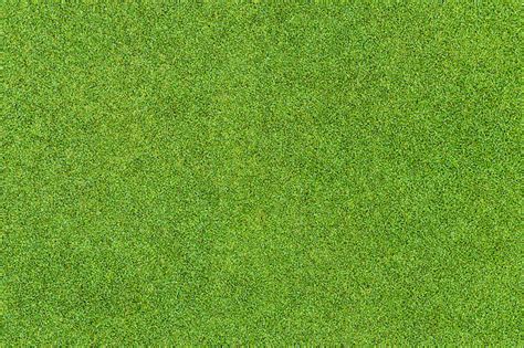 4100 Golf Grass Texture Stock Photos Pictures And Royalty Free Images