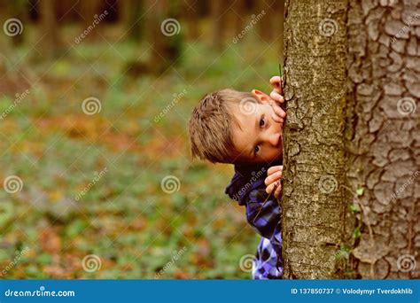 A Secret Little Place Little Boy Hide Behind Tree Small Boy Play